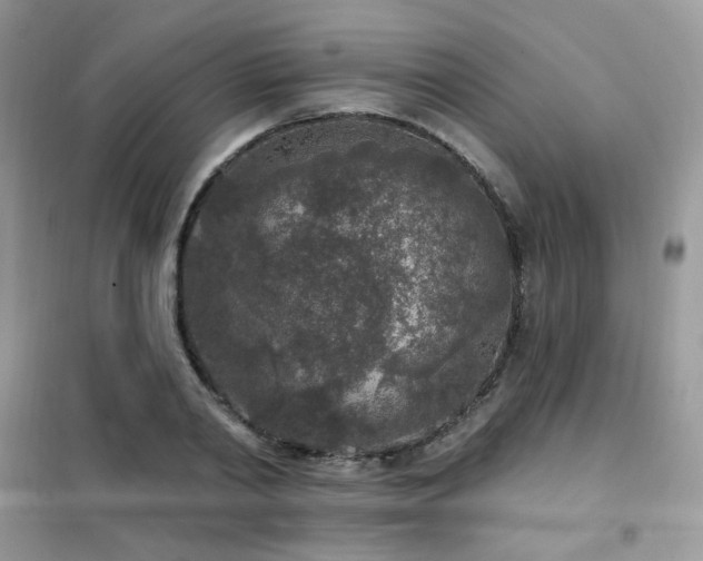 X0000102350790200808011203