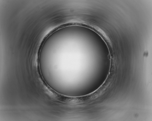 X0000102350791200808011203