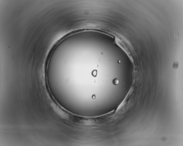 X0000102350792200808011203