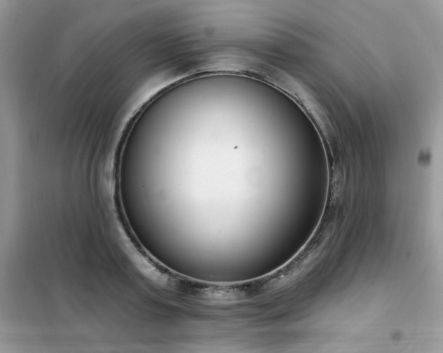 X0000102350795200808011203