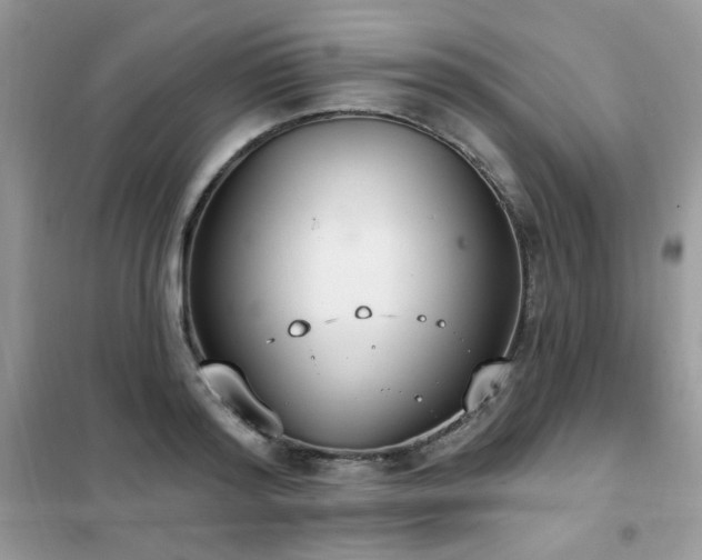 X0000102350796200808011203