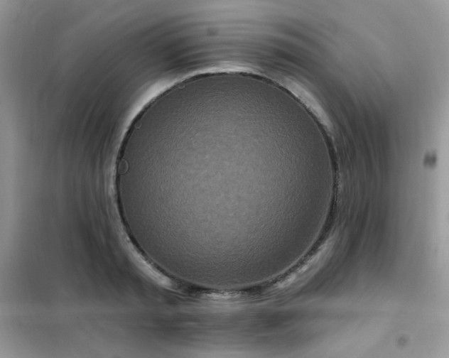 X0000102350797200808011203