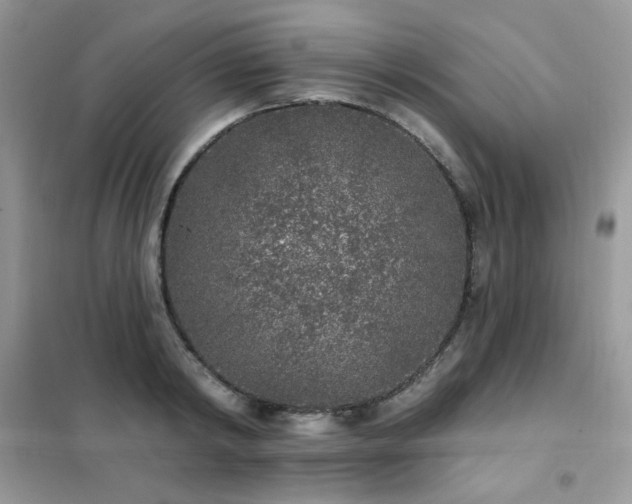 X0000102350798200808011203