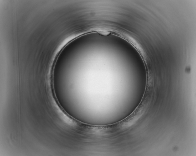 X0000102350803200808011202