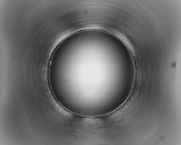 X0000102350805200808011202