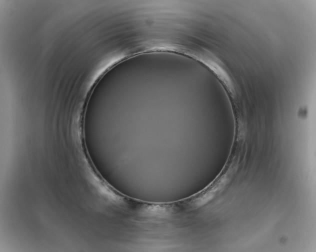 X0000102350806200808011202