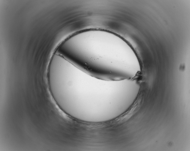 X0000102350807200808011202