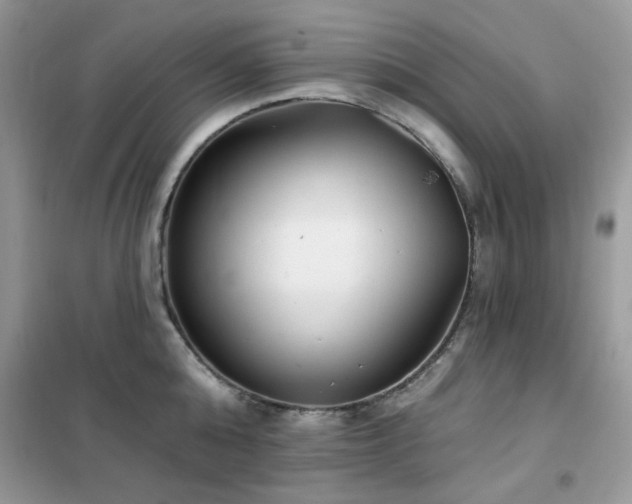 X0000102350808200808011202