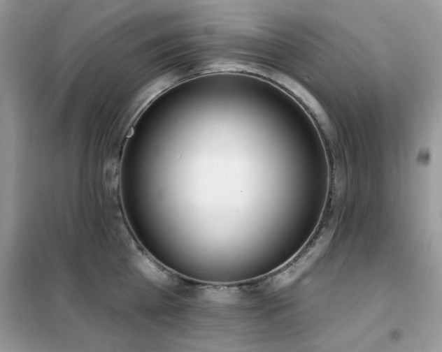 X0000102350809200808011202