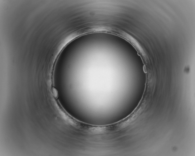 X0000102350810200808011202