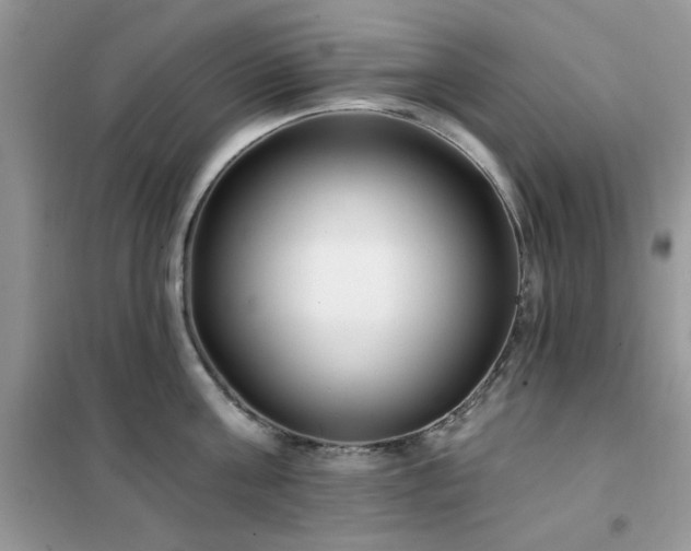 X0000102350811200808011202