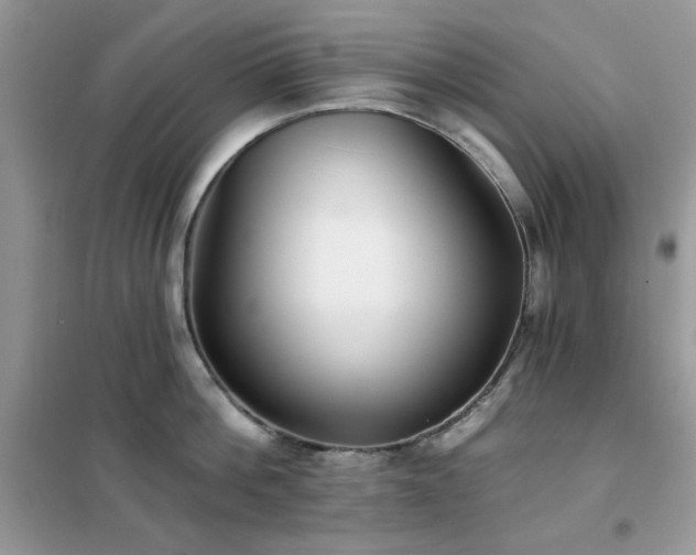 X0000102350812200808011202