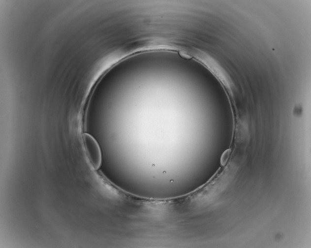 X0000102350813200808011202