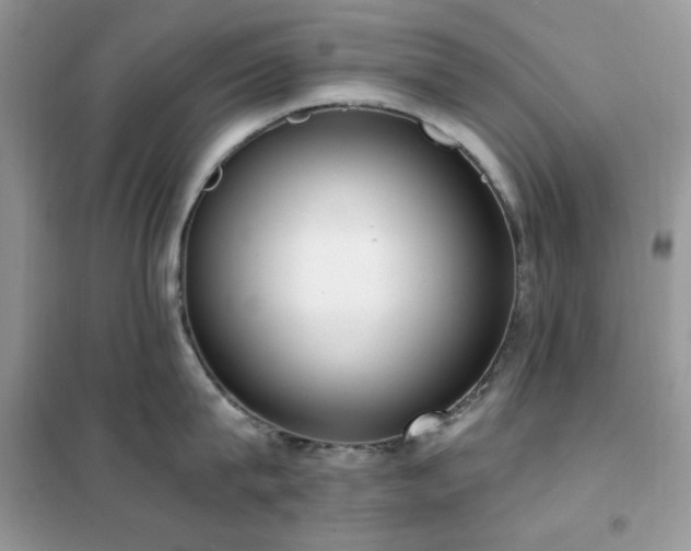 X0000102350815200808011202