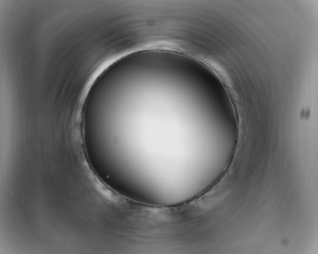 X0000102350816200808011202