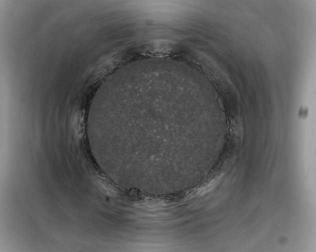 X0000102350818200808011202