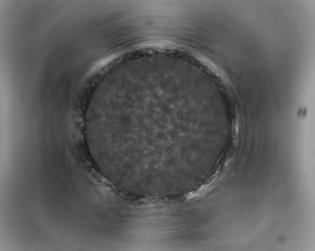 X0000102350822200808011202