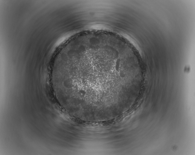 X0000102350823200808011202