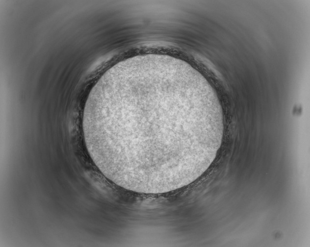 X0000102350824200808011202