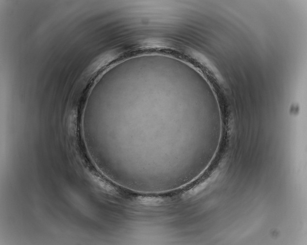 X0000102350825200808011202