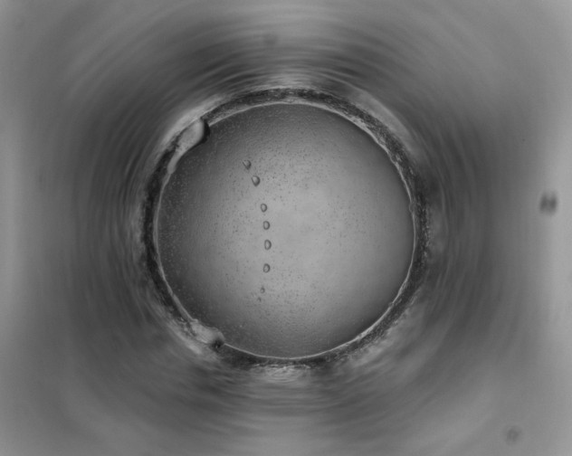 X0000102350826200808011202