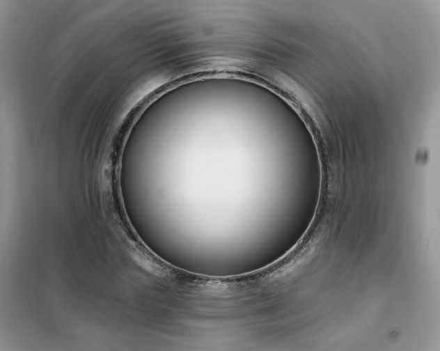 X0000102350827200808011202