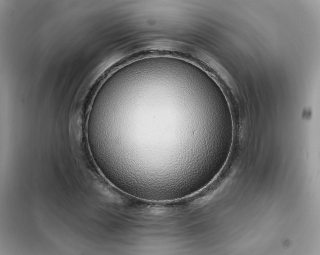 X0000102350829200808011202