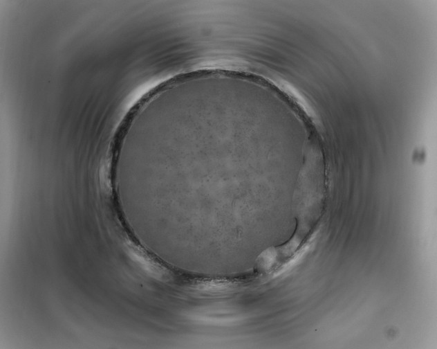 X0000102350830200808011202