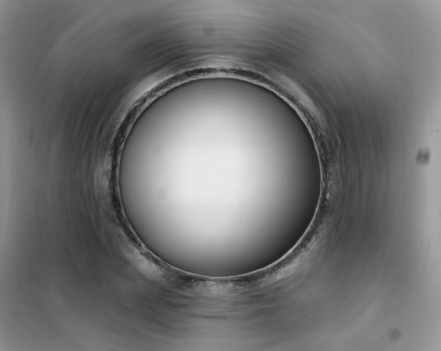 X0000102350831200808011202