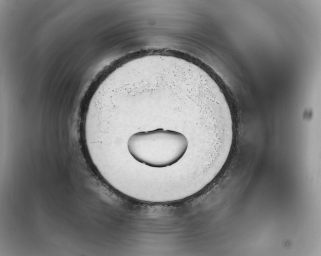 X0000102350832200808011202