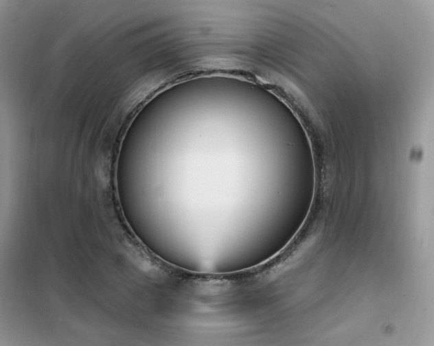 X0000102350833200808011202