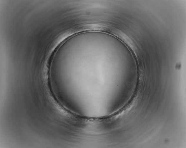 X0000102350835200808011202