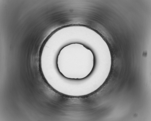 X0000102350836200808011202