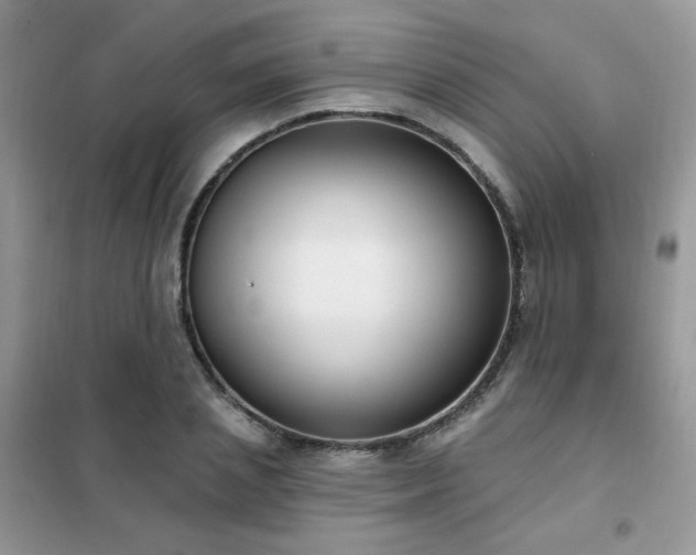 X0000102350837200808011202