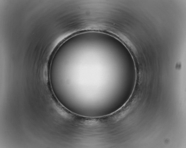 X0000102350838200808011202