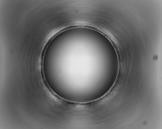 X0000102350839200808011202