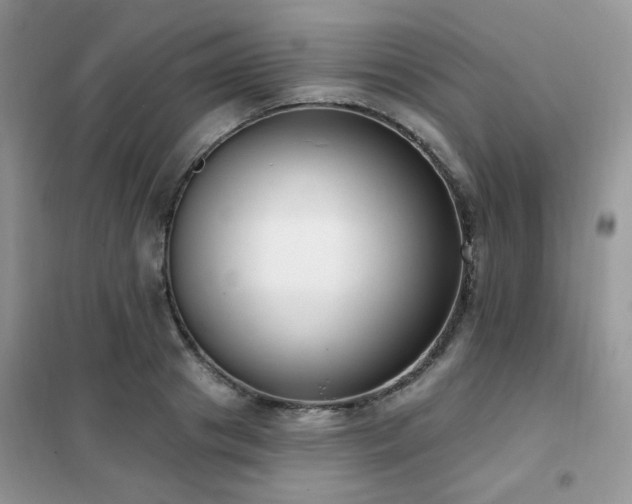 X0000102350841200808011202