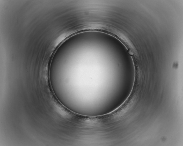 X0000102350842200808011202