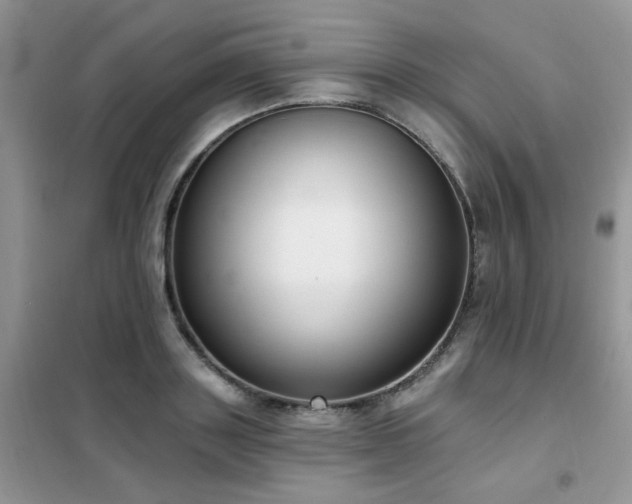 X0000102350843200808011202