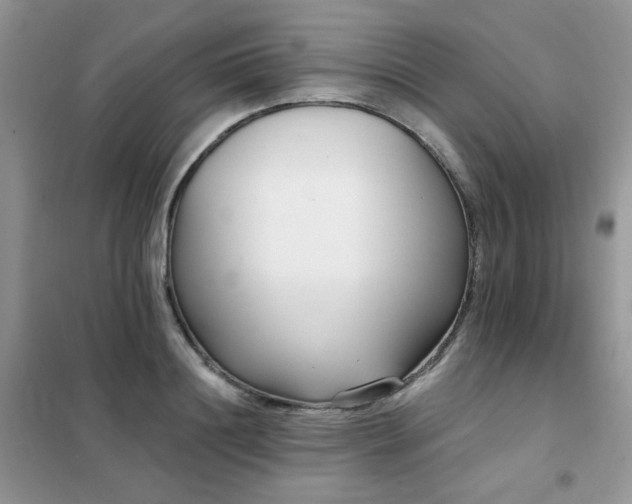 X0000102350844200808011202