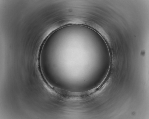 X0000102350845200808011202