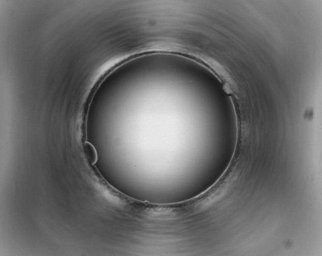 X0000102350846200808011202