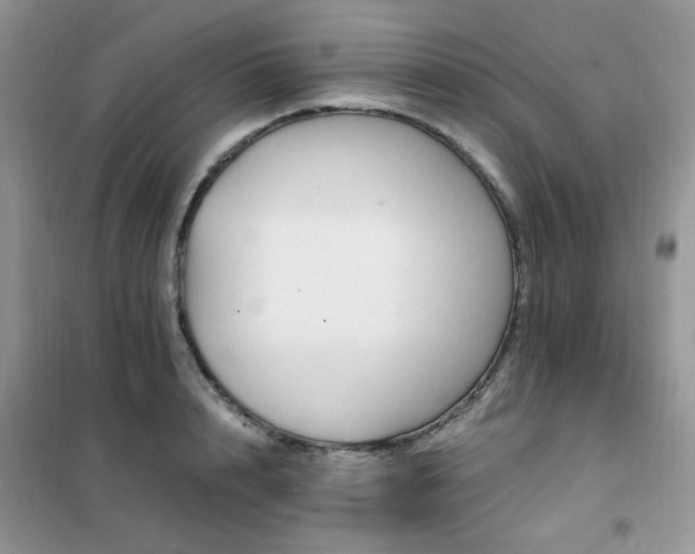 X0000102350848200808011202