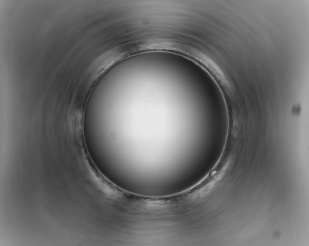 X0000102350849200808011202