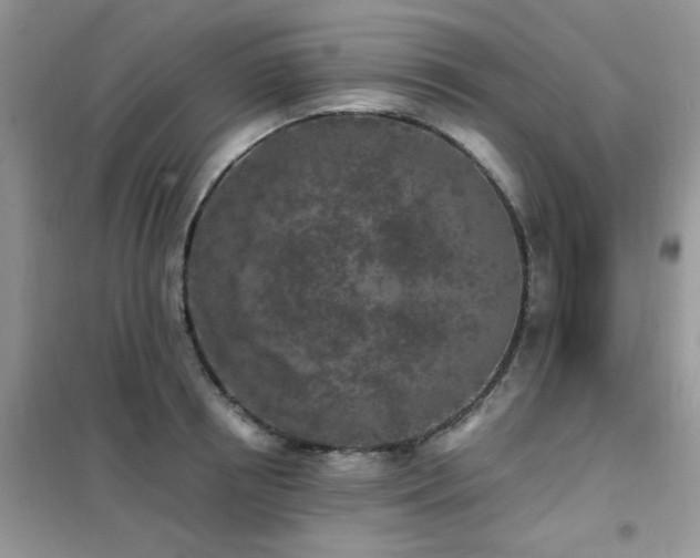 X0000102350850200808011202