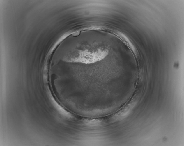 X0000102350851200808011202