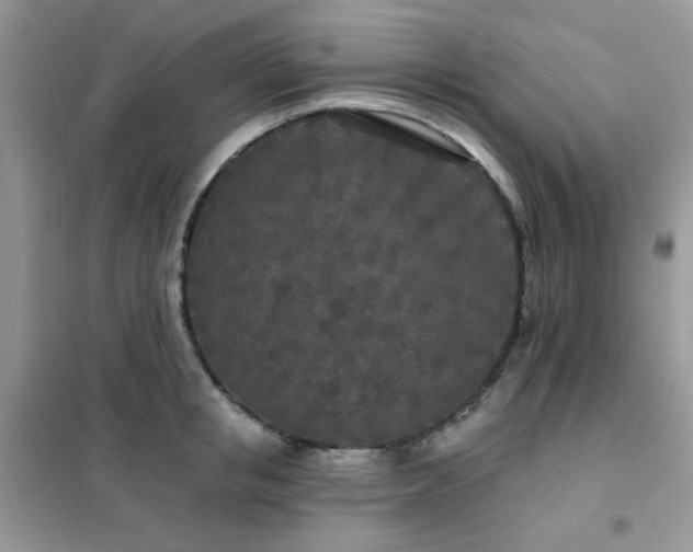 X0000102350853200808011202