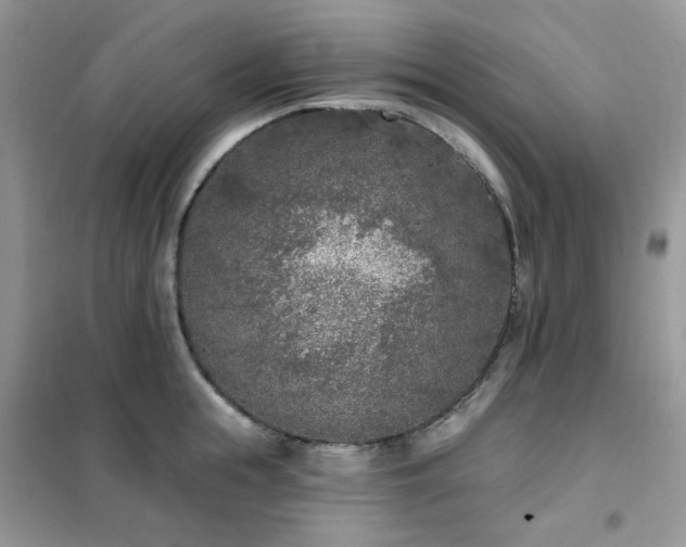 X0000102350855200808011202