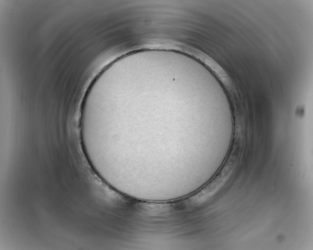 X0000102350856200808011202