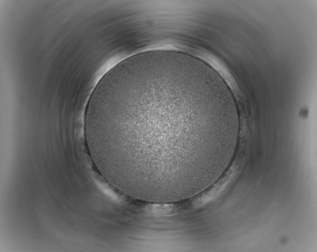 X0000102350858200808011202